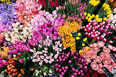 《全面战争：战锤3》下次更新能让矮人开始疯狂囤货